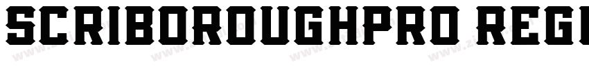 ScriboRoughPro Regul字体转换